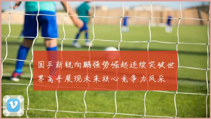 国乒新锐向鹏强势崛起连续突破世界高手展现未来核心竞争力风采