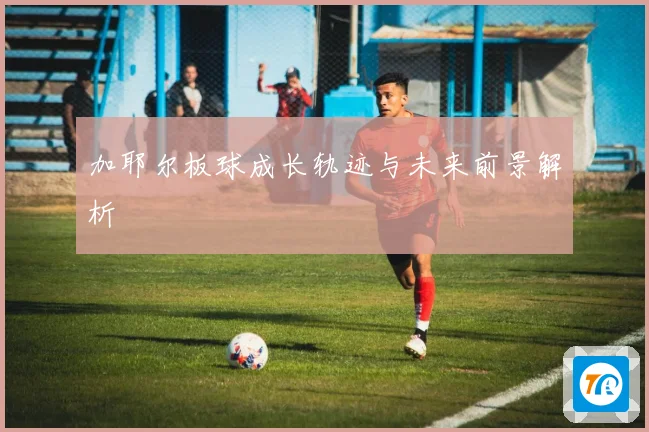 加耶尔板球成长轨迹与未来前景解析