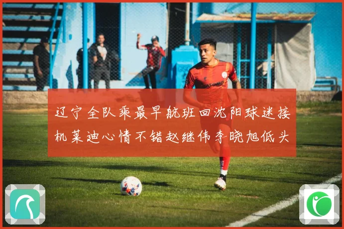 辽宁全队乘最早航班回沈阳球迷接机莱迪心情不错赵继伟李晓旭低头赛场复盘