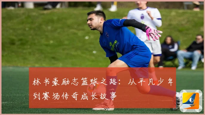 林书豪励志篮球之路：从平凡少年到赛场传奇成长故事