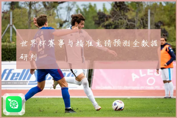 世界杯赛事与精准竞猜预测全数据研判