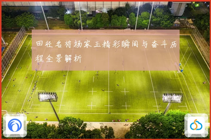 田径名将杨家玉精彩瞬间与奋斗历程全景解析