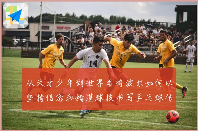 从天才少年到世界名将波尔如何以坚持信念和精湛球技书写乒乓球传奇人生历程