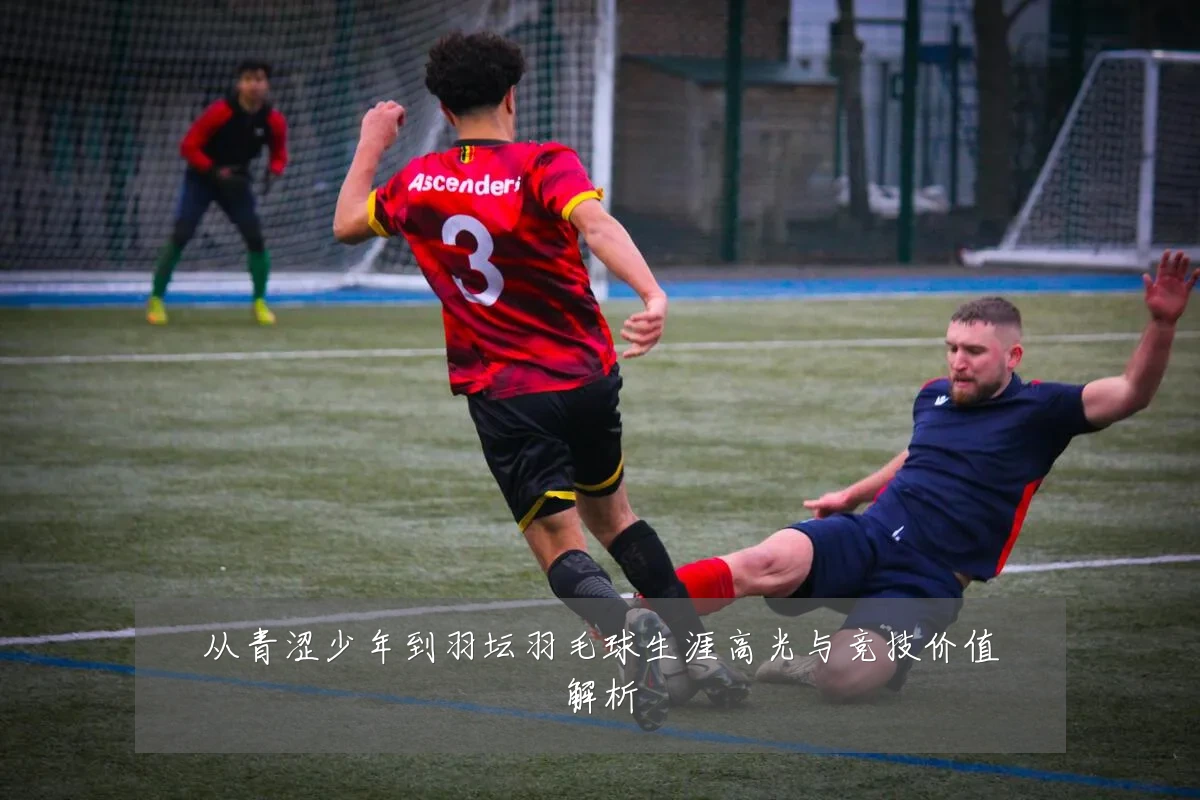 从青涩少年到羽坛羽毛球生涯高光与竞技价值解析