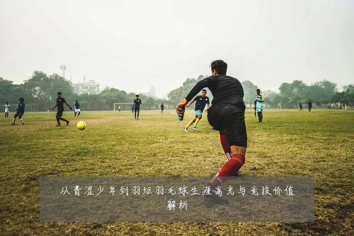 从青涩少年到羽坛羽毛球生涯高光与竞技价值解析