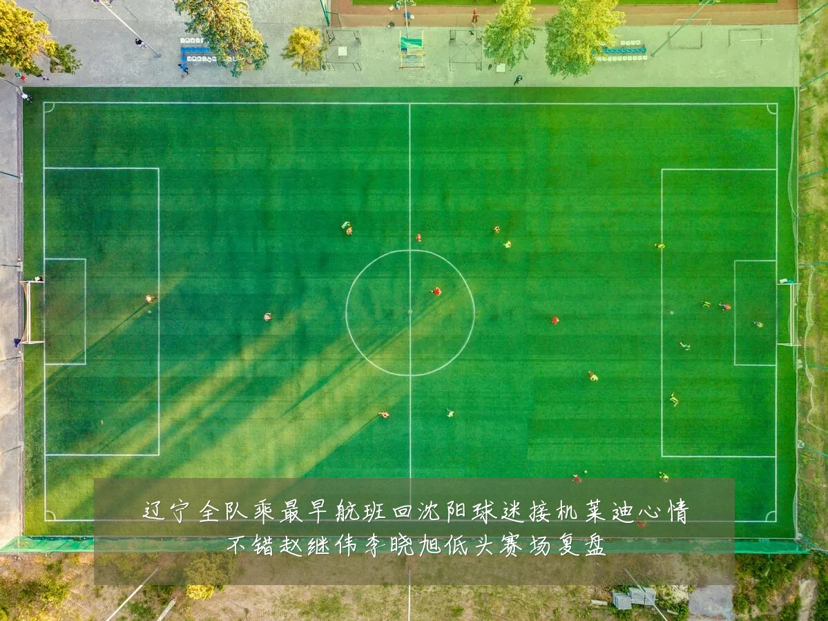辽宁全队乘最早航班回沈阳球迷接机莱迪心情不错赵继伟李晓旭低头赛场复盘