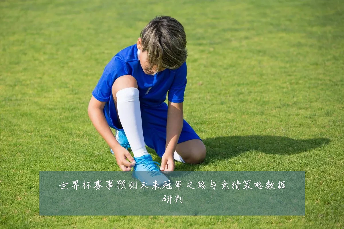 世界杯赛事预测未来冠军之路与竞猜策略数据研判