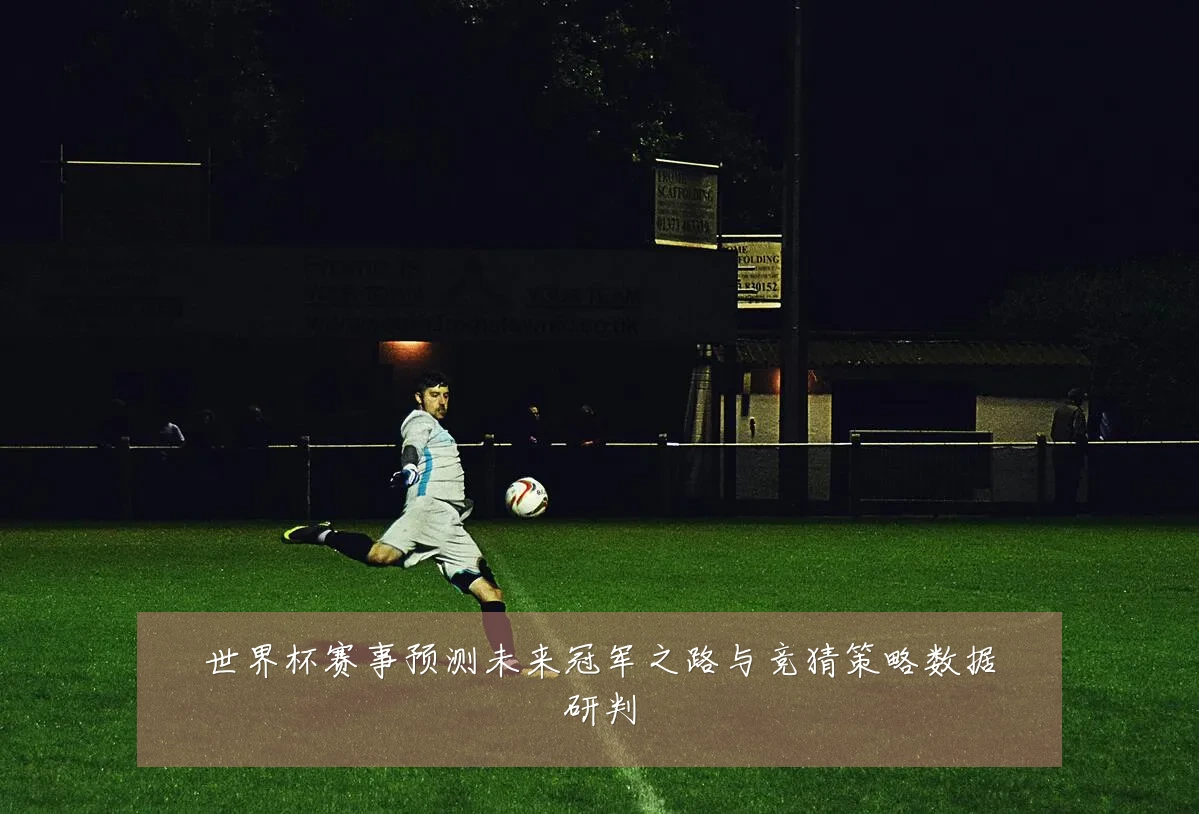 世界杯赛事预测未来冠军之路与竞猜策略数据研判